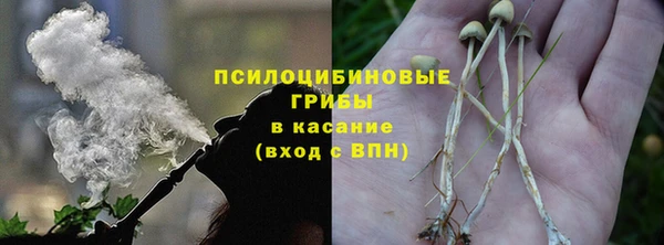 прущий лед Карпинск