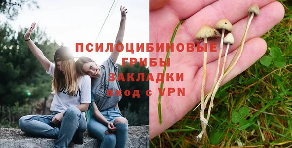 молекула духа Касимов