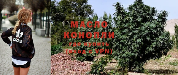 молекула духа Касимов